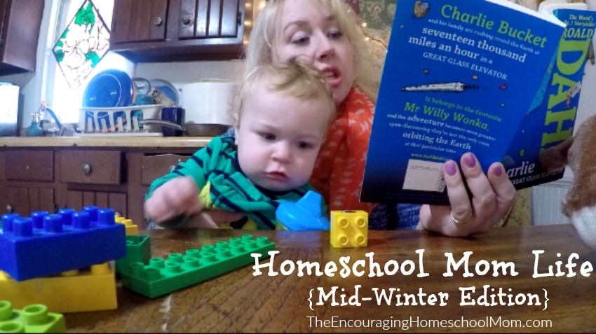 Homeschool Mom Life Mid-Winter Edition