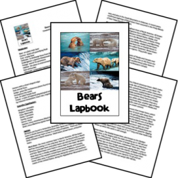 FREE Bears Lapbook