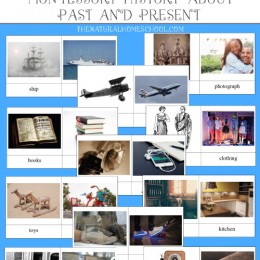 FREE History Printables