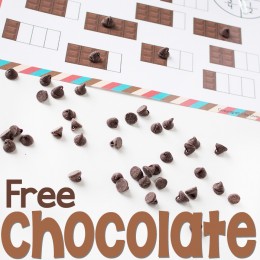 FREE Chocolate Fractions Pack