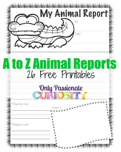 FREE A to Z Animal Reports