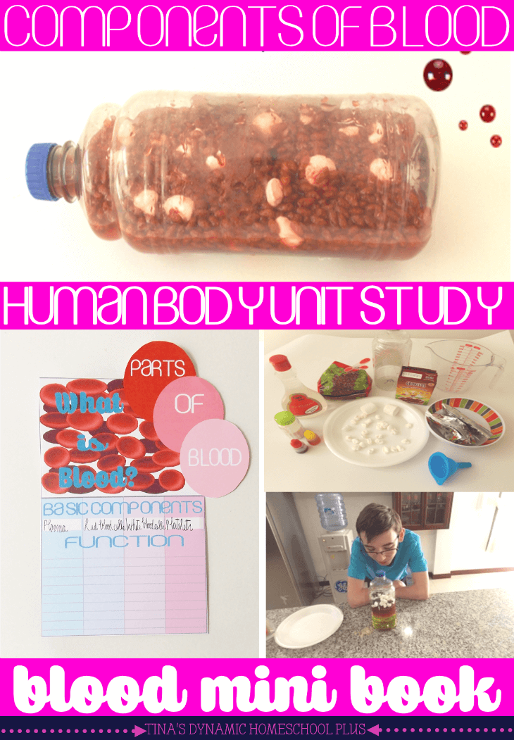 FREE Human Body Unit Study: All About Blood