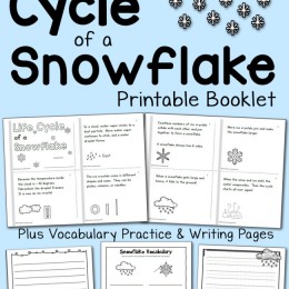 FREE Life Cycle of a Snowflake Pack