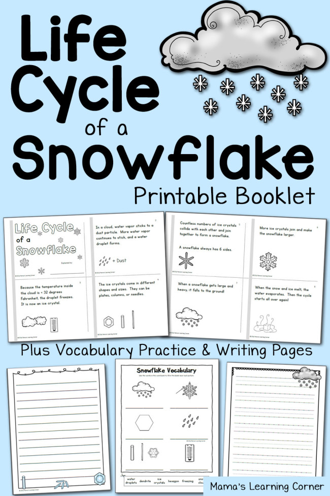 FREE Life Cycle of a Snowflake Pack