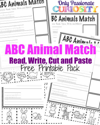 FREE ABC Animals Pack