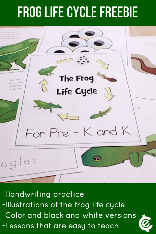 Free Frog Life Cycle Lesson