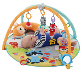 Fisher Price Baby Gear Sale - Up to 40% Off!