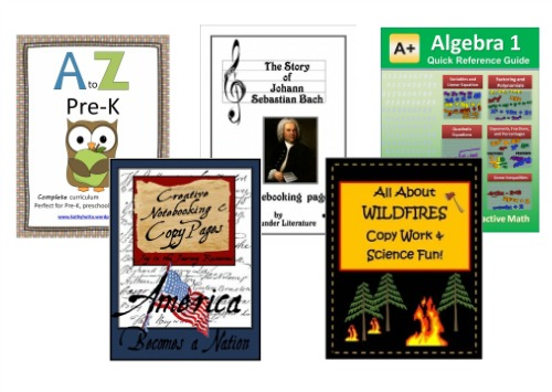 Curriculum Penny Pinchers