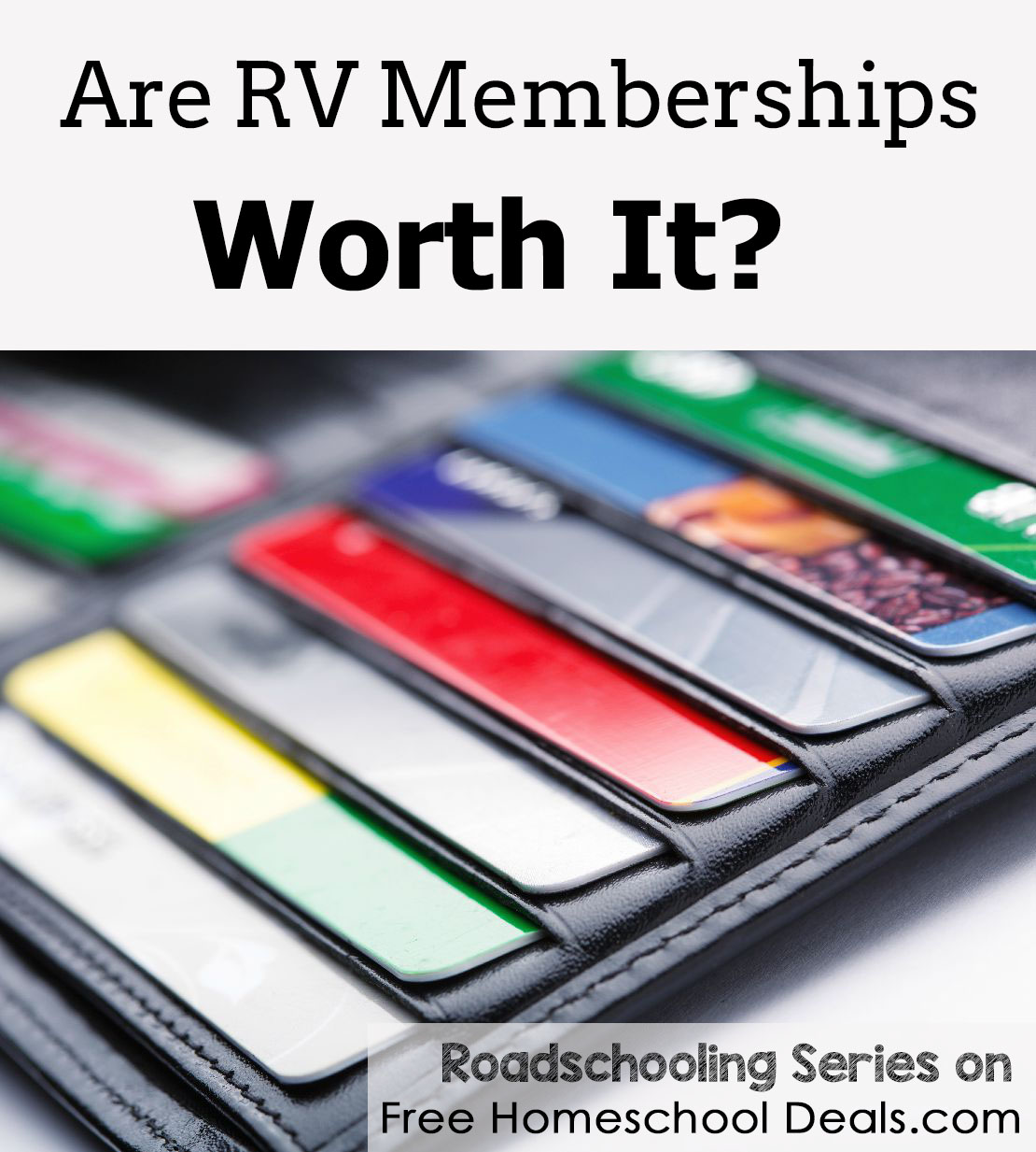 Are RV Memberships Worth It? (Roadschooling Series!)