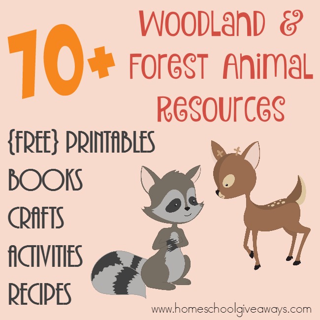 FREE Woodland Forest Animal Resources