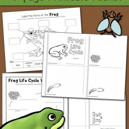 FREE Frog Life Cycle Pack