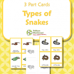 FREE 3 Part Snake Cards
