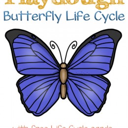 FREE Butterfly Playdough Life Cycle Mats and Cards