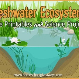 FREE Freshwater Ecosystems Printables and Projects