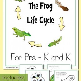 FREE Frog Life Cycle for PreK and K Pack