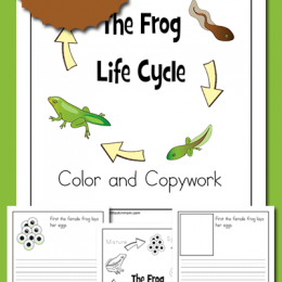 FREE Frog Life Cycle Color and Copywork Pack