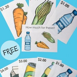 FREE Grocery Task Cards