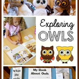 FREE Owl Unit Study Pack