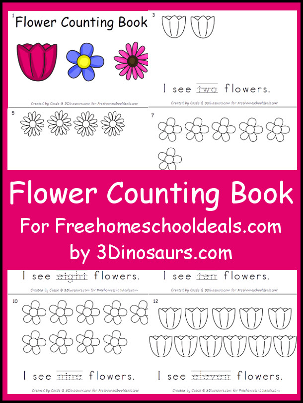 flowercounting-fhd