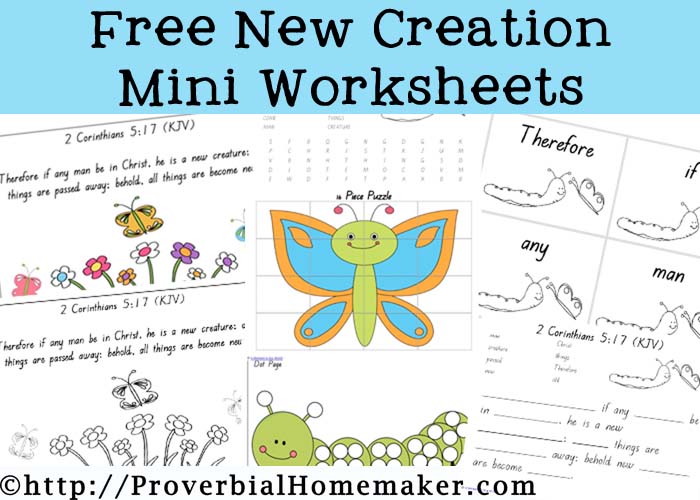 Free New Creation Activity Pack (53 Pages!)