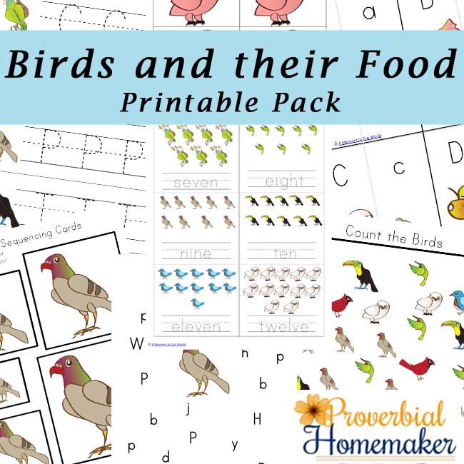 Free Birds and Their Food Printable Pack