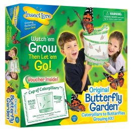 Original Butterfly Garden with Voucher Only $20! (20% Off!)