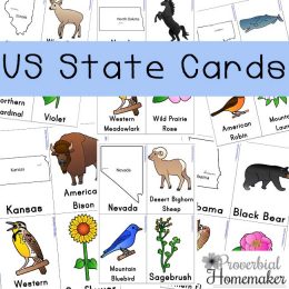 Free U.S. State Cards Pack