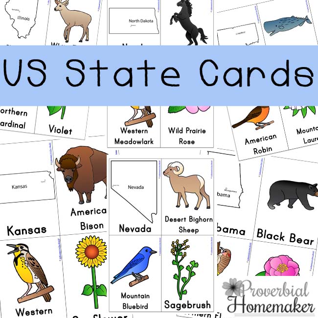 Free U.S. State Cards Pack