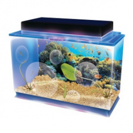 Seaquarium Deluxe Edition Only $49.99!