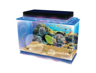 Seaquarium Deluxe Edition Only $49.99!