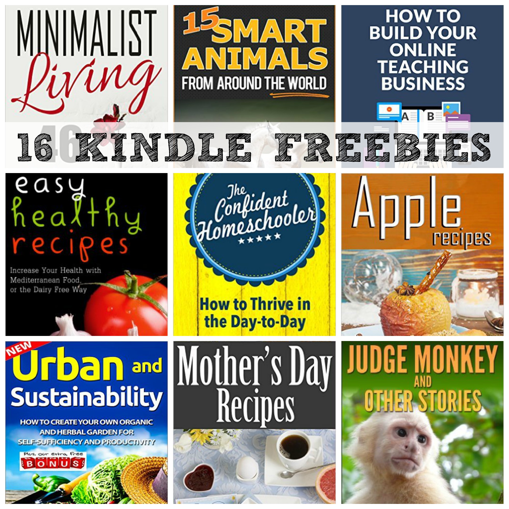 16 KINDLE FREEBIES The Confident Homeschooler, Easy Healthy Recipes + More!
