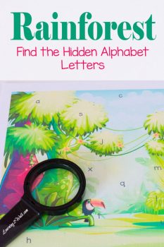 FREE Rainforest Printables &amp; Resources | Free Homeschool Deals