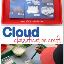 FREE Cloud Classification Craft