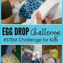 FREE Egg Drop Challenge for Kids