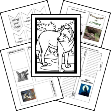 FREE Grey Wolf Lapbook