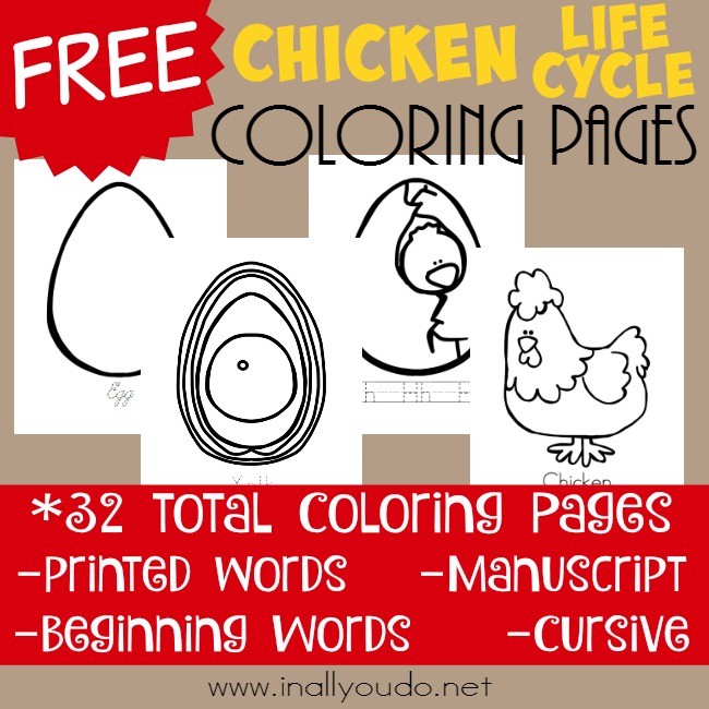 FREE Chicken Coloring Pages