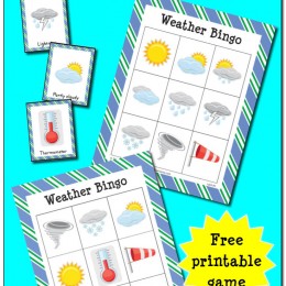 FREE Weather Bingo Printables