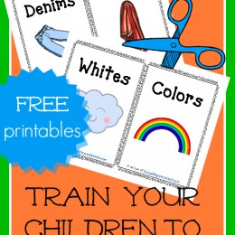 FREE Laundry Training Printables