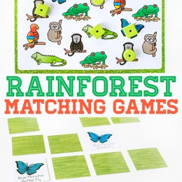 FREE Rainforest Matching Game