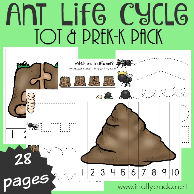 FREE Ant Life Pack