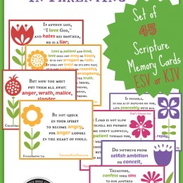 FREE Overcoming Anger in Parenting Set