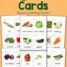 FREE 3 Part Vegetable Cards