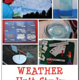 FREE Weather Unit Study