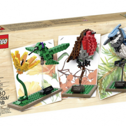 LEGO Birds Model Kit Only $38.20! (15% Off!)