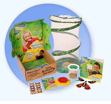 40% Off Insect Lore Products - Today Only!