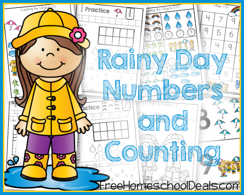 Rainy Day Numbers and Counting Packet