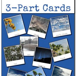 FREE Weather 3 Part Cards