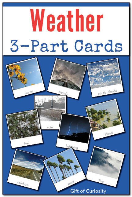 FREE Weather 3 Part Cards