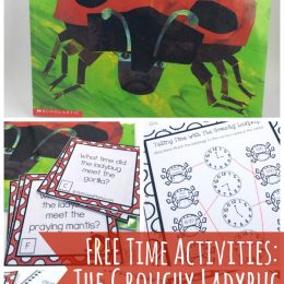 FREE Grouchy Ladybug Math Pack