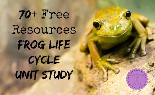 FREE Frog Life Cycle Printables